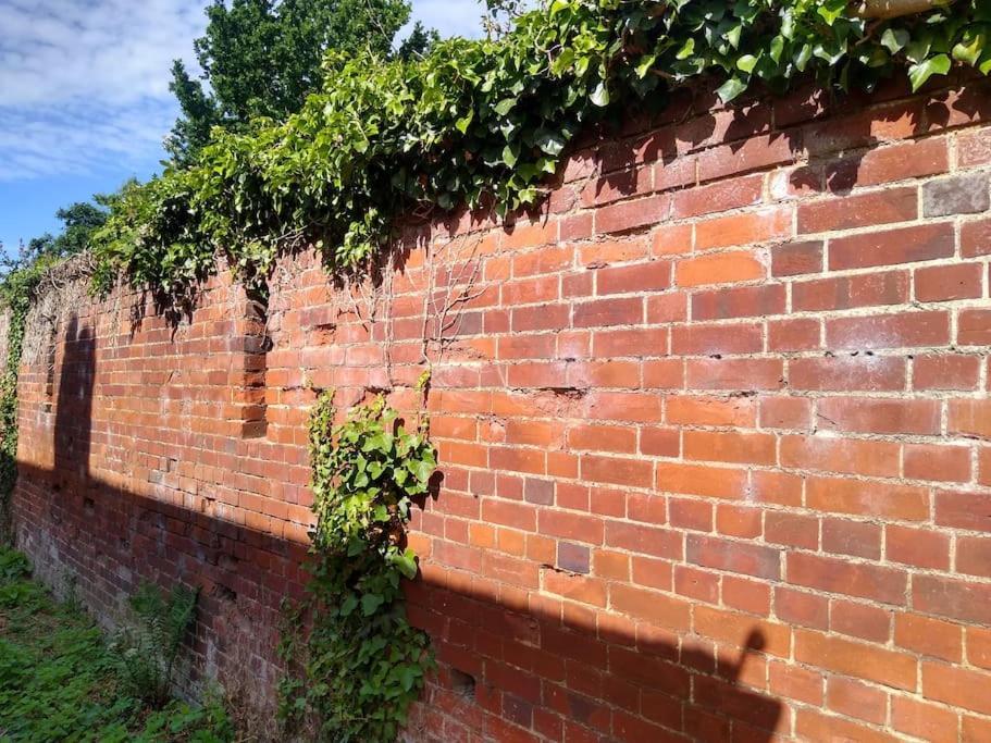 The Walled Garden Лонґ-Мелфорд Екстер'єр фото